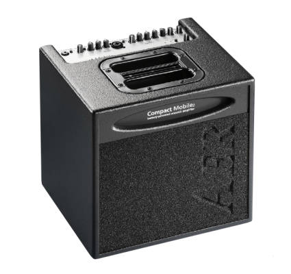 Compact Mobile 2-Channel Acoustic Combo