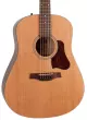 S6 Original Acoustic Guitar