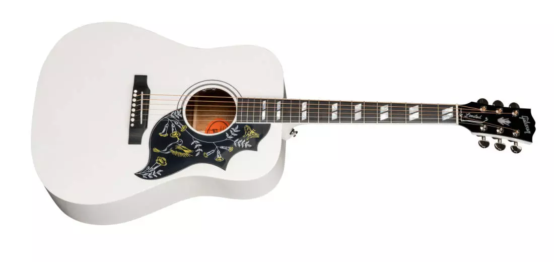 2018 Alpine White Hummingbird Ltd