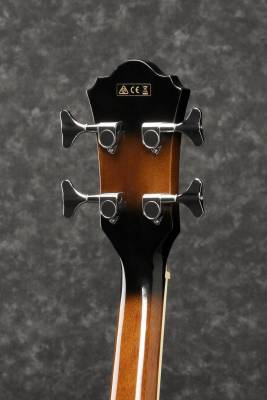 Acoustic/Electric Bass Guitar - Dark Violin Sunburst