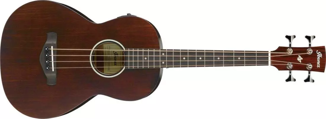 Acoustic/Electric Bass - Vintage Violin Open Pore
