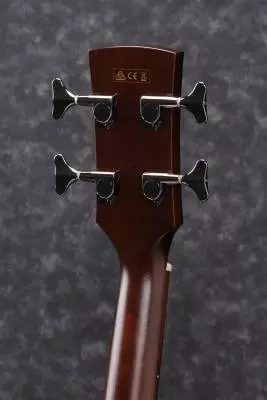 Acoustic/Electric Bass - Vintage Violin Open Pore