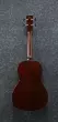 Acoustic/Electric Bass Fretless - Vintage Violin Open Pore