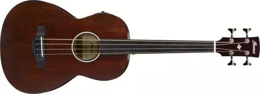 Acoustic/Electric Bass Fretless - Vintage Violin Open Pore