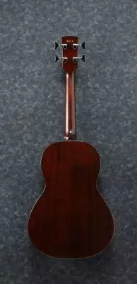 Acoustic/Electric Bass Fretless - Vintage Violin Open Pore