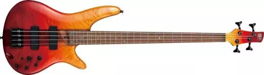 SR4 Electric Guitar - Autumn Leaf Gradation