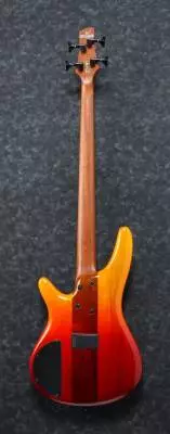 SR4 Electric Guitar - Autumn Leaf Gradation