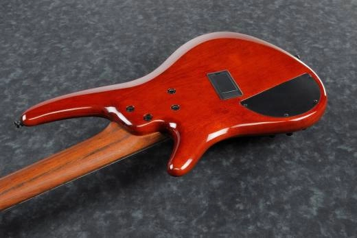 SR Bass Workshop Multi Scale 5 String - Brown Topaz Burst