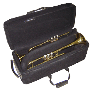 Double Trumpet Case