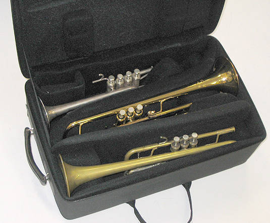 Triple Trumpet Case
