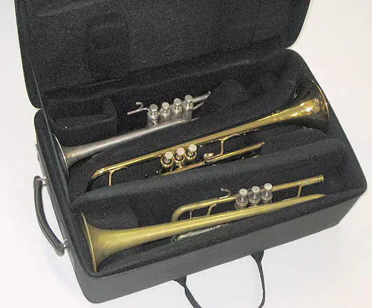 Triple Trumpet Case