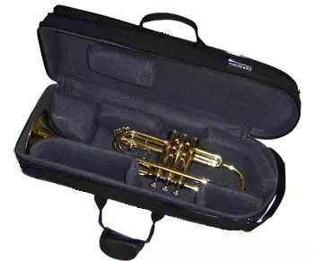 Trumpet Case