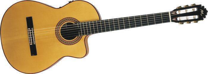 Model A CW - Cedar/Rosewood Laminate with Cutaway and Pickup