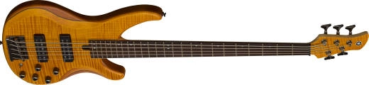 TRBX605FM 600 Series 5-String Bass Guitar - Matte Amber