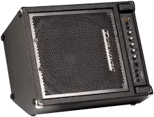 Compact 100 Watt - 1x12 Bass Combo Amp