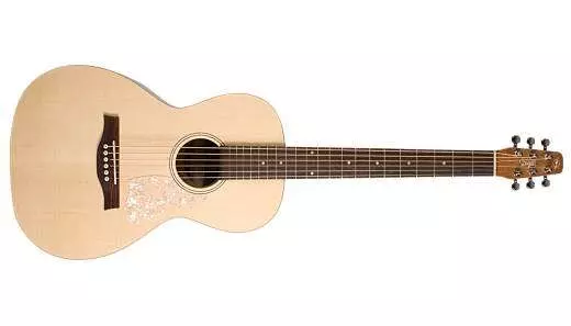 Entourage Grand Natural Almond Acoustic Guitar