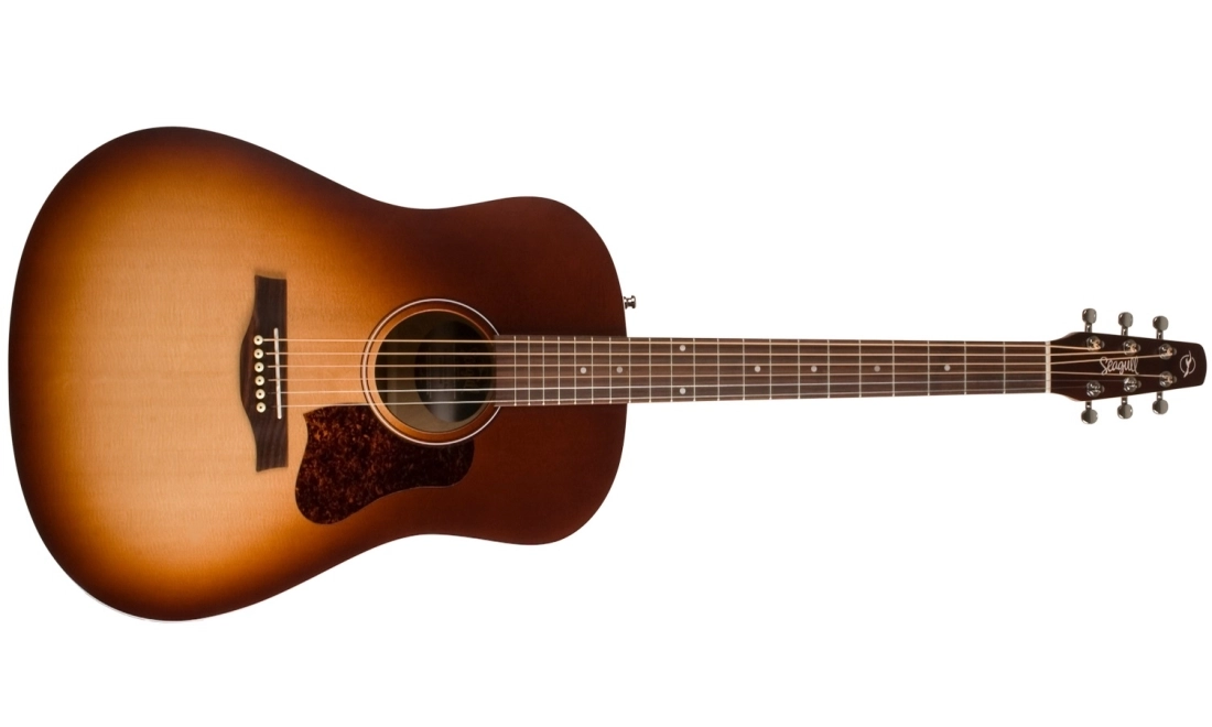 Entourage Autumn Burst Acoustic Guitar