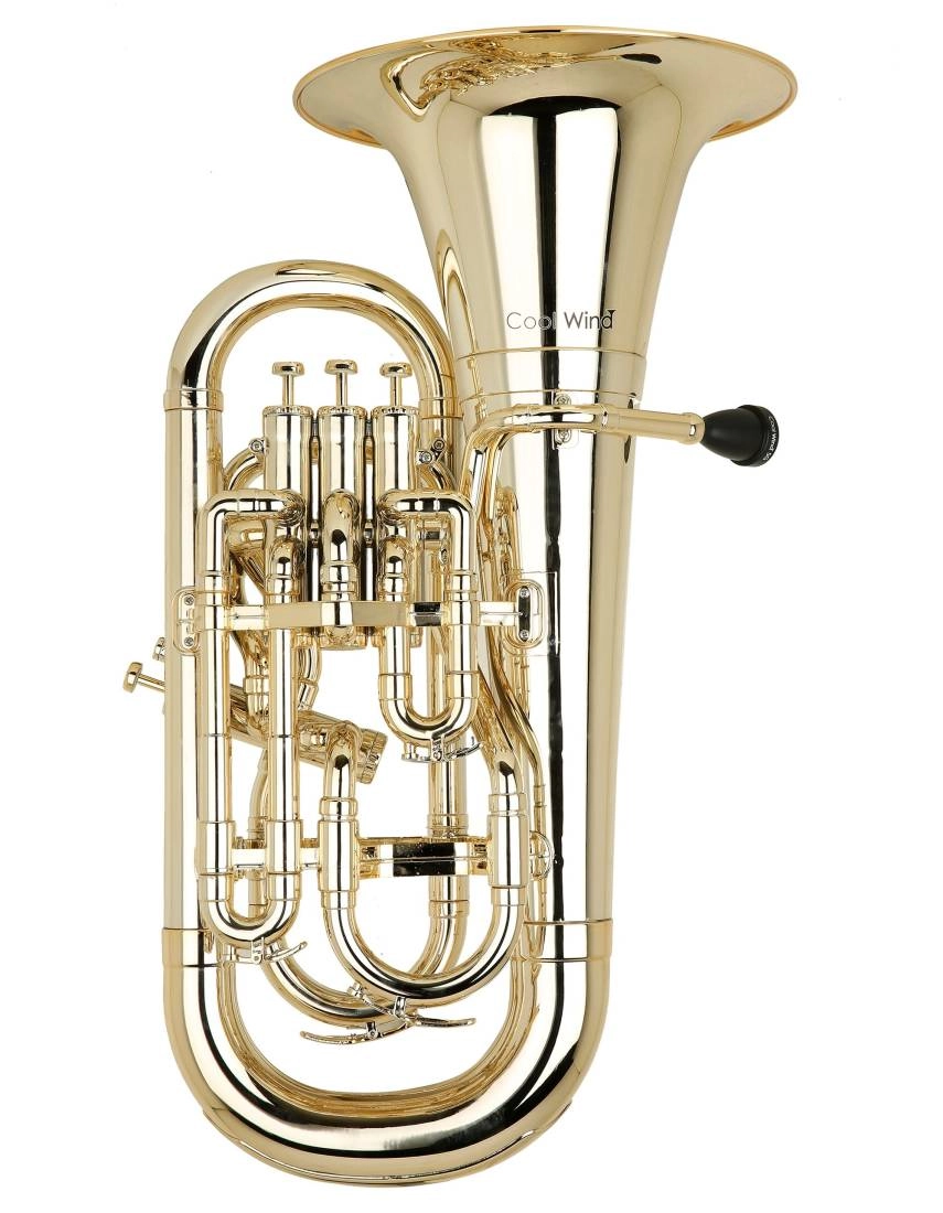 Plastic 3 Valve Euphonium - Brass Finish