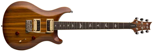 Paul Reed Smith - 2018 SE Custom 24 Zebrawood Top Electric Guitar - Vintage Sunburst