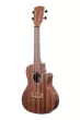 Solid Mahogany Concert Ukulele with EQ
