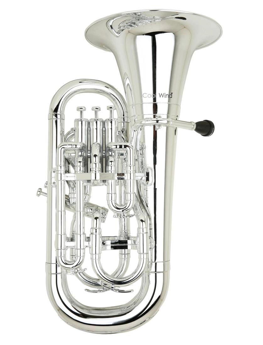 Plastic 3 Valve Euphonium - Silver Finish