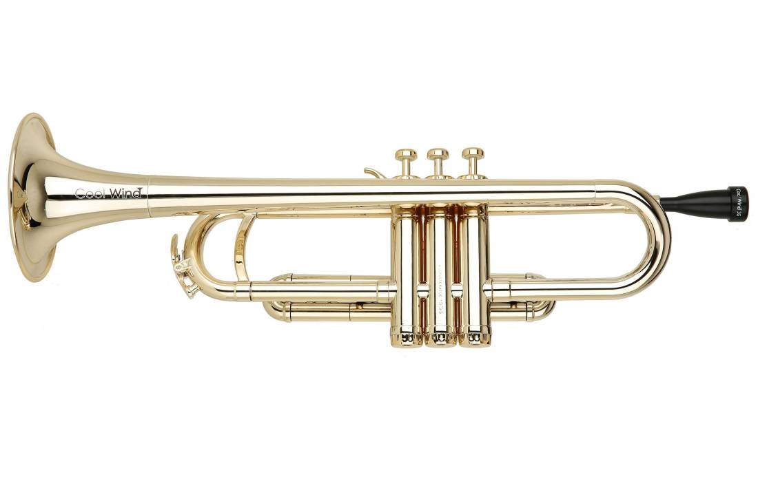 Plastic Trumpet - Brass Finish