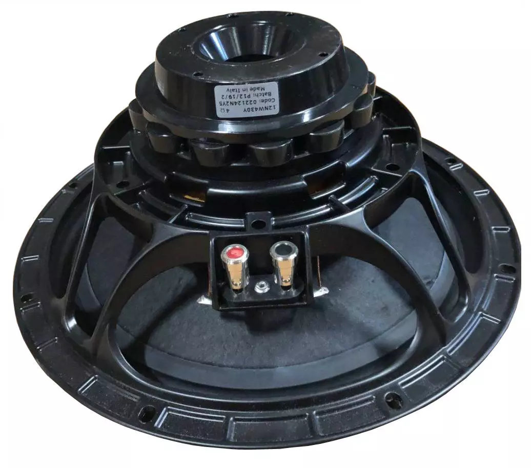 12 Inch 4 Ohm Raw Subwoofer Speaker