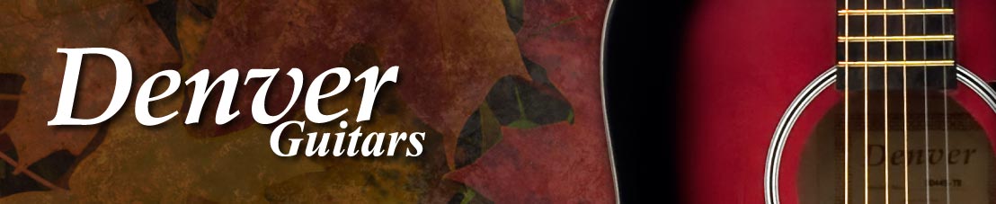Landing Page Banner