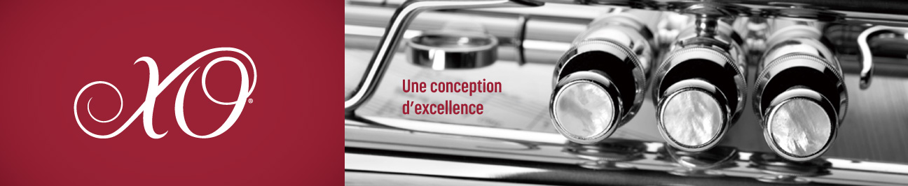 XO Professional Brass Landing Page Banner
