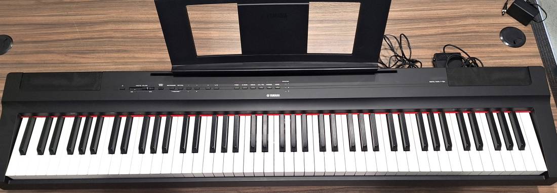 Gear Hunter | Yamaha P125A B
