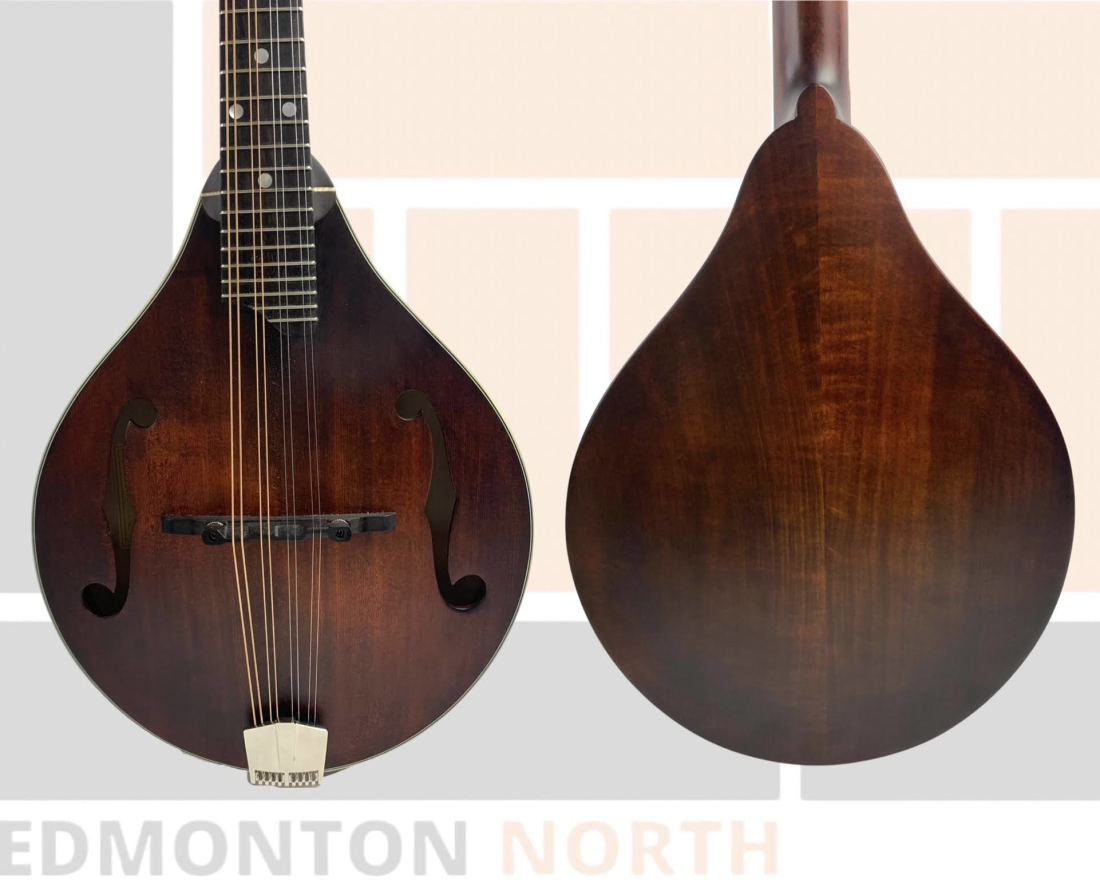 Gear Hunter EASTMAN ASTYLE MANDOLIN SOLID SPRC/MPL