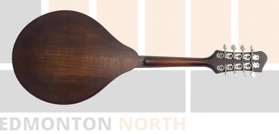 Gear Hunter EASTMAN ASTYLE MANDOLIN SOLID SPRC/MPL