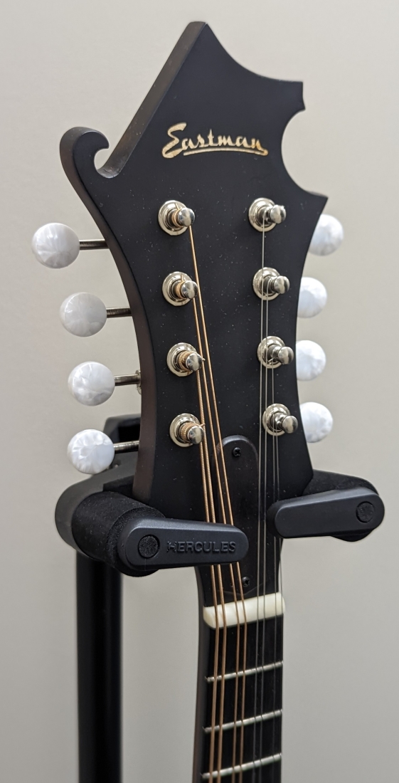 Gear Hunter EASTMAN FSTYLE MANDOLIN w/OVAL SOUND HOLE