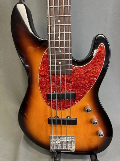 HAMER CRUISE 5-STRING BASS 2