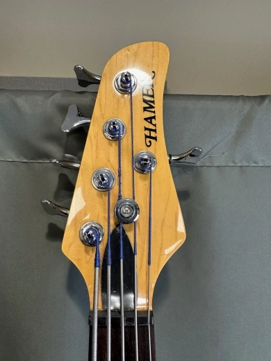 HAMER CRUISE 5-STRING BASS 2