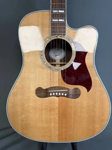 Gibson - ACSDC19ANGH 2