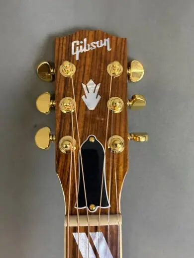 Gibson - ACSDC19ANGH 2