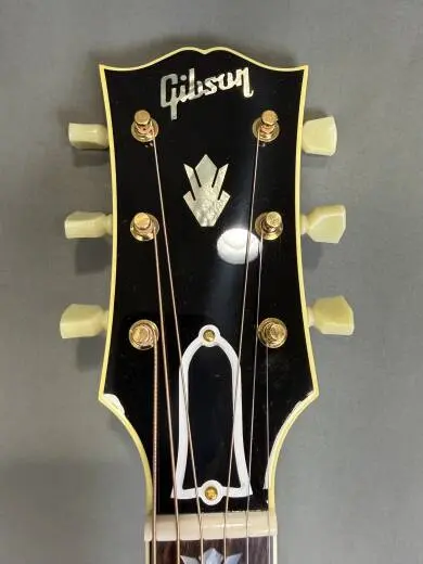 Gibson - ACO20ANGH 2