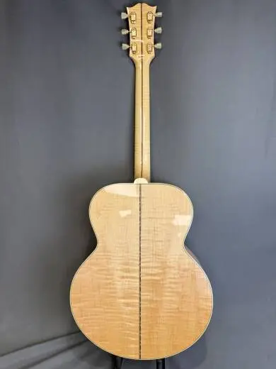 Gibson - ACO20ANGH 2