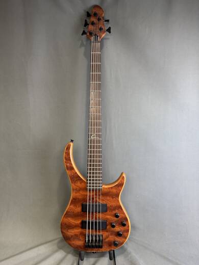 Gear Hunter | Peavey Cirrus 5 BXP 5 String Bass