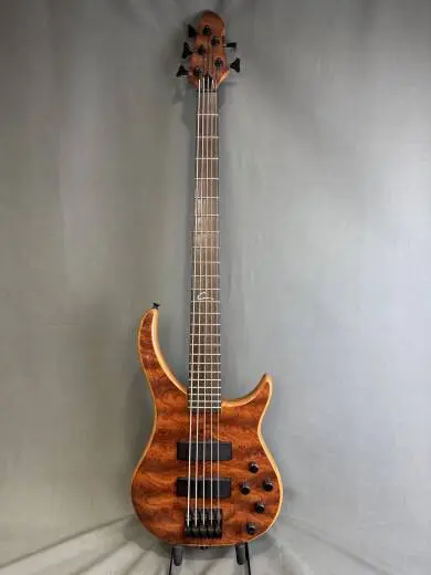 Peavey Cirrus 5 BXP 5 String Bass