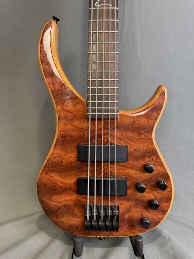 Gear Hunter | Peavey Cirrus 5 BXP 5 String Bass