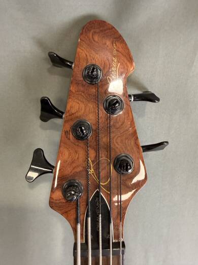 Gear Hunter | Peavey Cirrus 5 BXP 5 String Bass