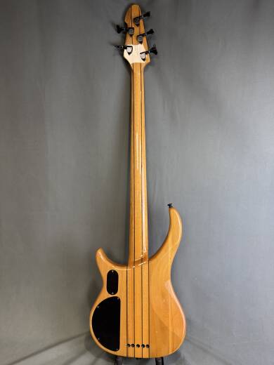 Gear Hunter | Peavey Cirrus 5 BXP 5 String Bass
