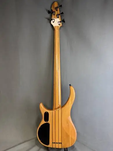 Peavey Cirrus 5 BXP 5 String Bass 2