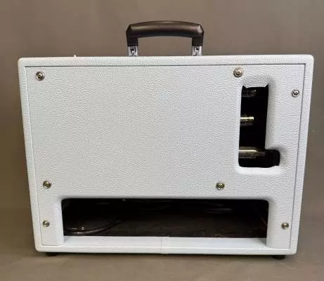 Carr Raleigh Combo Amp Blu 2