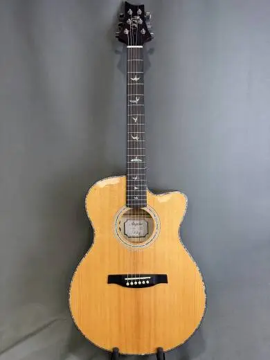 PRS SE - 100951:BG