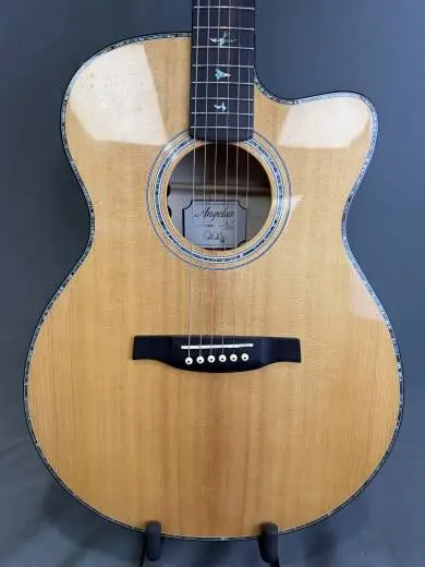 PRS SE - 100951:BG 2