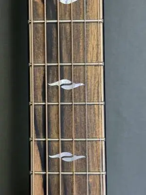 Taylor Guitars - 814CE RA 2