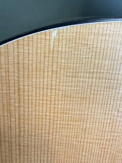 Seagull Guitars - S46423 2